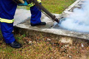 getting-rid-of-pests-infestations