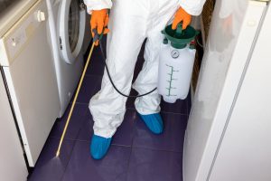 Pest control worker spraying insecticide