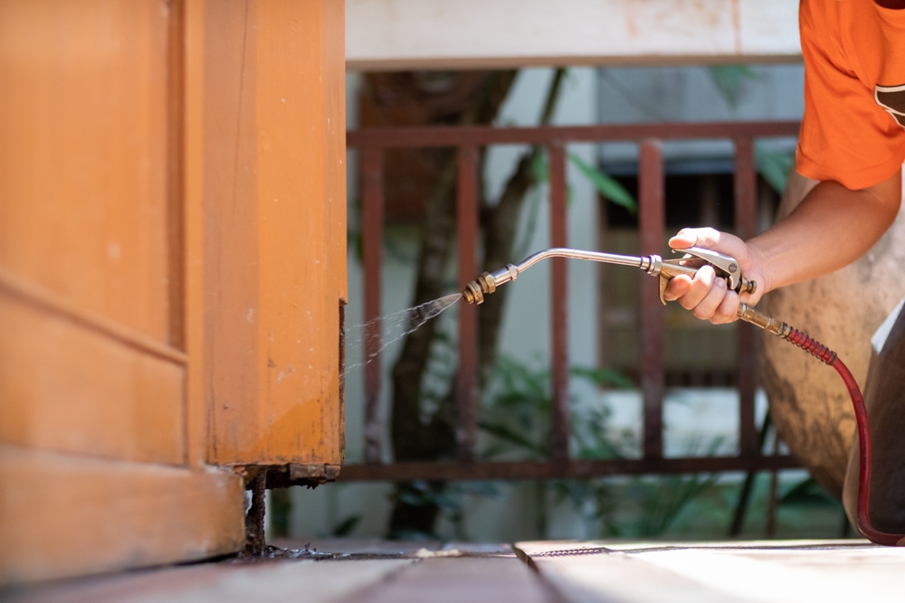 Using chemicals to exterminate pests