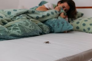 Woman terrified of spider