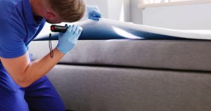 Bed bug infestation treatment