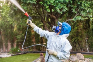 Fumigator applies phytosanitary products and herbicides to plants in a house with a garden. The fighter wears a protective mask and a white protective suit against toxic products.
